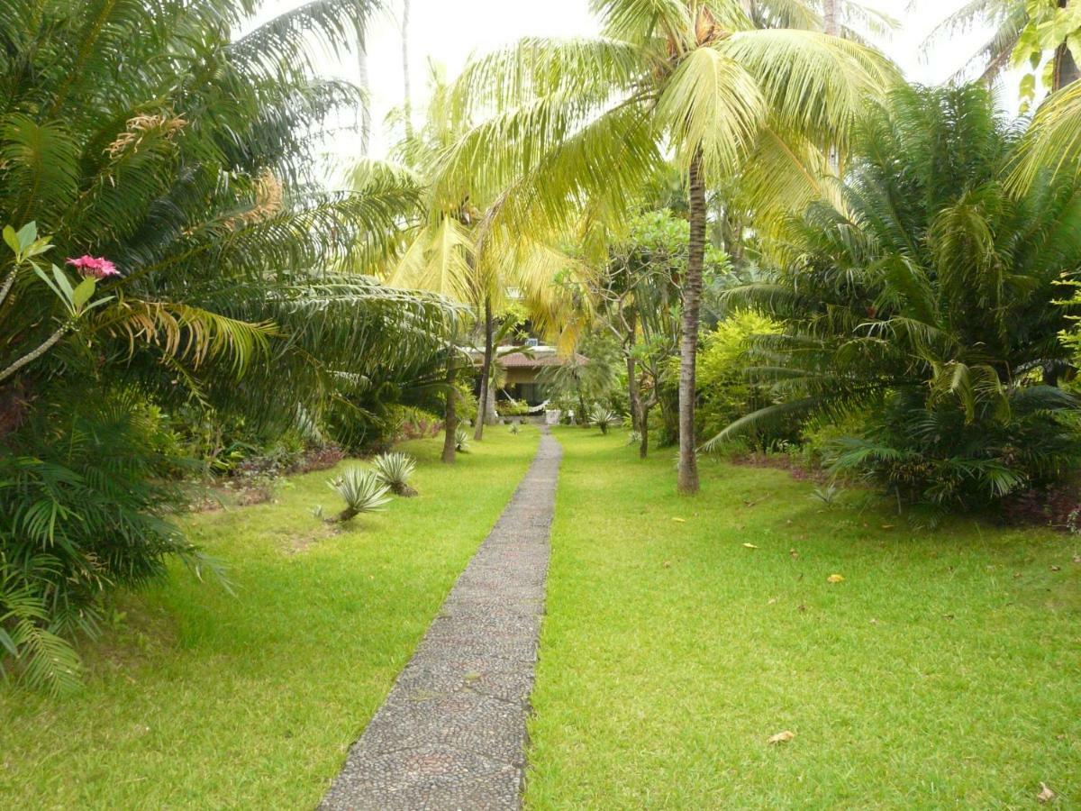 Bali Sandat Tejakula Ngoại thất bức ảnh