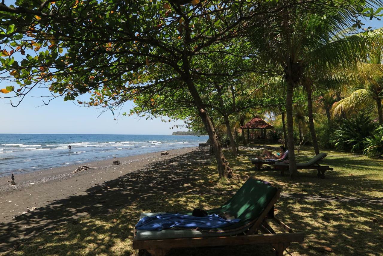 Bali Sandat Tejakula Ngoại thất bức ảnh