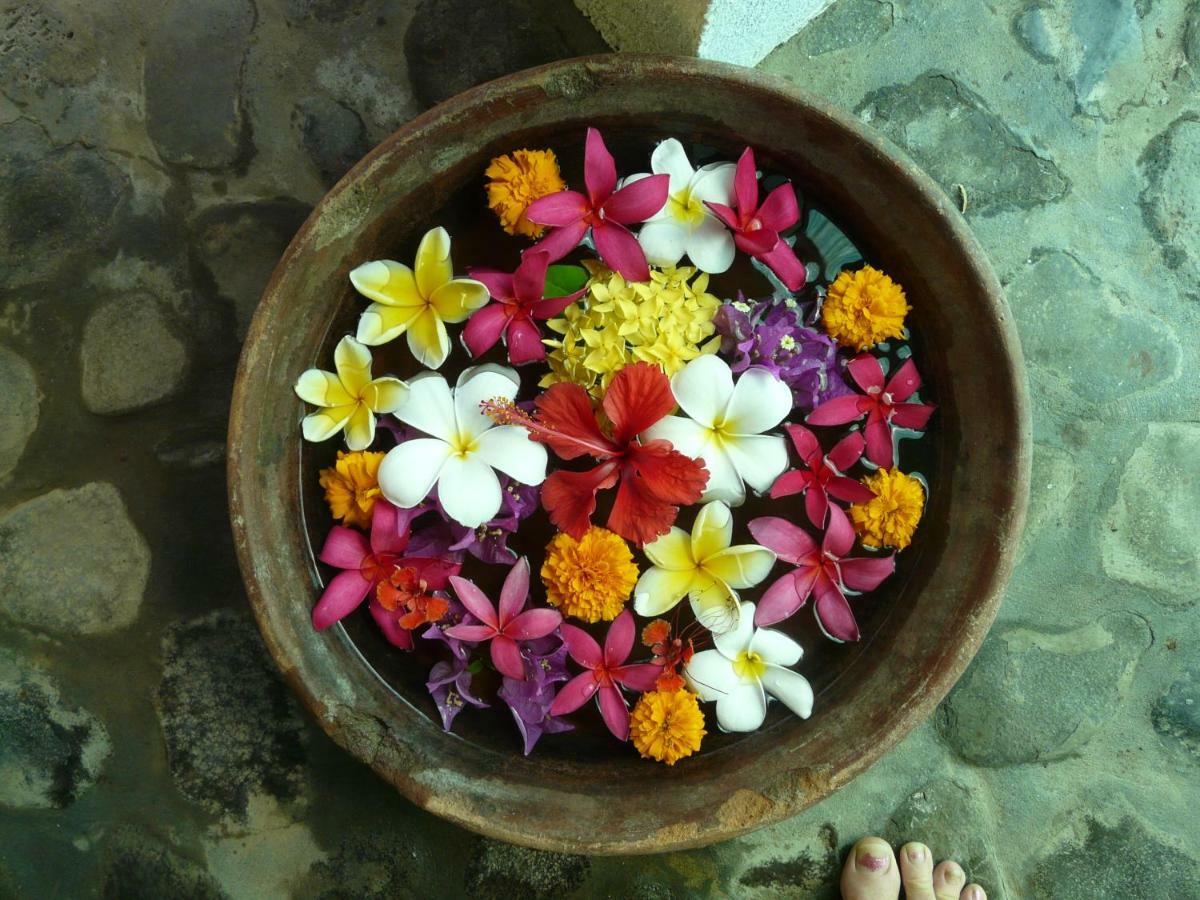 Bali Sandat Tejakula Ngoại thất bức ảnh
