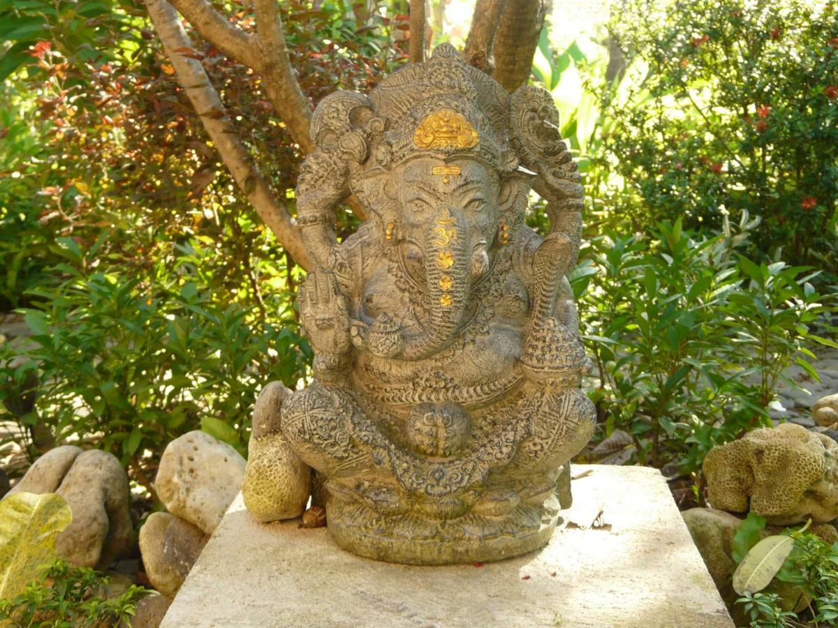 Bali Sandat Tejakula Ngoại thất bức ảnh