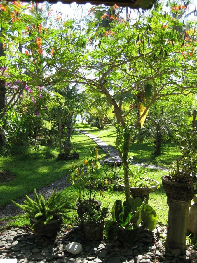 Bali Sandat Tejakula Ngoại thất bức ảnh
