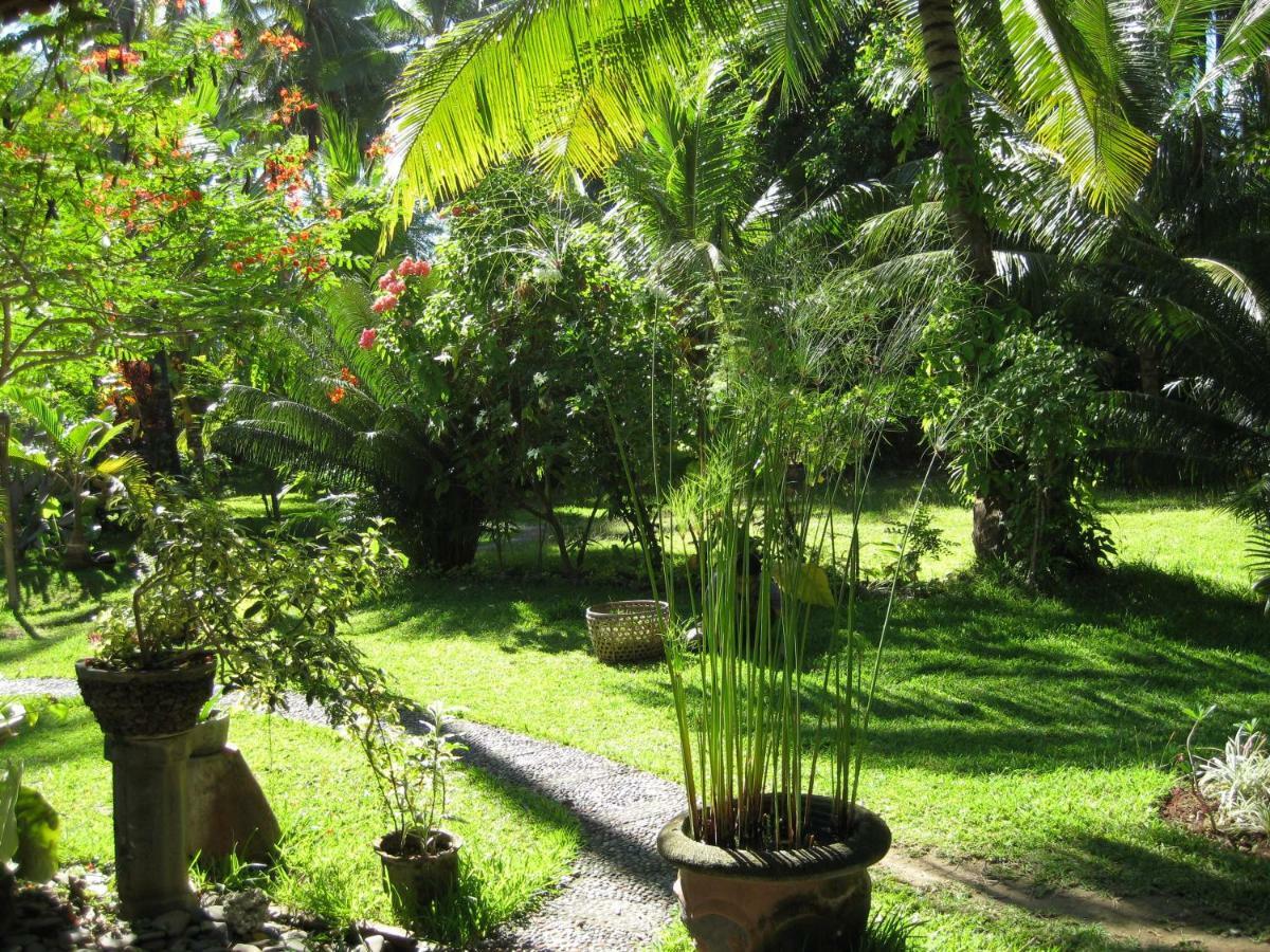 Bali Sandat Tejakula Ngoại thất bức ảnh